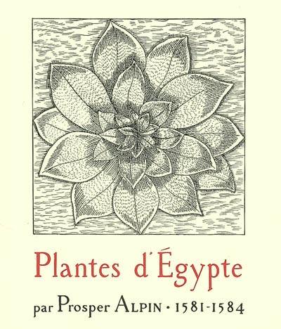 Plantes d'Egypte : 1581-1584