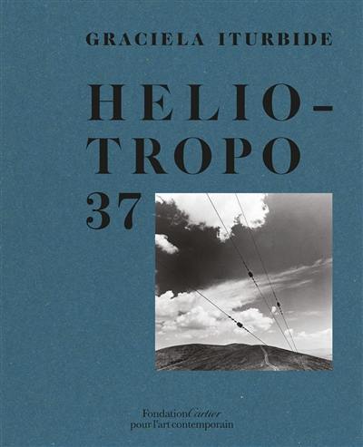 Heliotropo 37