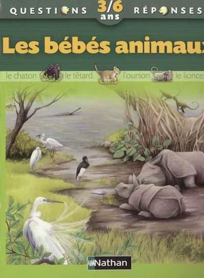 Les bébés animaux