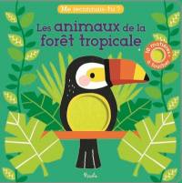 Les animaux de la forêt tropicale