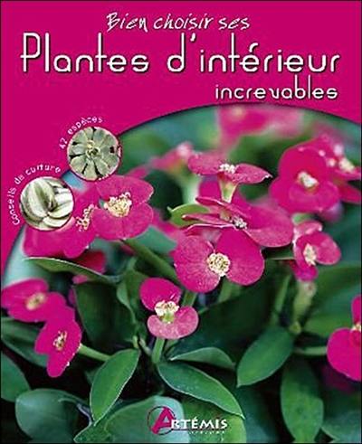 Plantes d'intérieur increvables