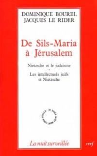 De Sils-Maria à Jérusalem : Nietzsche et le judaïsme, les intellectuels juifs et Nietzsche