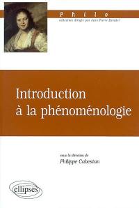 Introduction à la phénoménologie