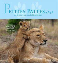 Petites pattes : les premiers pas des bébés animaux