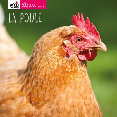 La poule