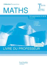 Maths terminale professionnelle, bac pro : groupements A et B industriel : livre du professeur