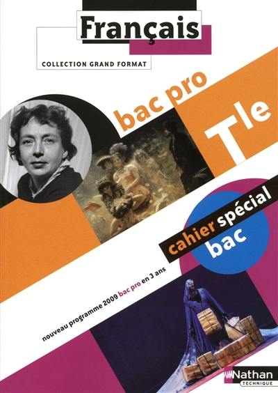 Français, tle bac pro : bac pro en 3 ans : nouveau programme 2009, cahier spécial bac