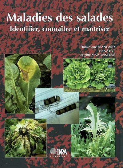 Maladies des salades : identifier, connaître et maîtriser