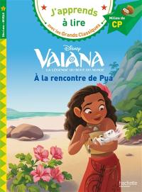 Vaiana : la légende du bout du monde. A la rencontre de Pua : milieu de CP, niveau 2