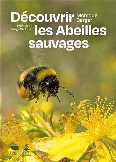 Découvrir les abeilles sauvages