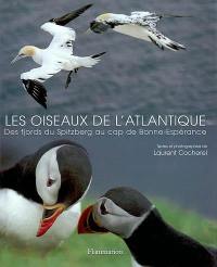 Les oiseaux de l'Atlantique : des fjords du Spitzberg au cap de Bonne-Espérance