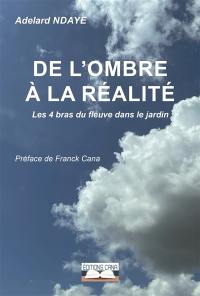 De l'ombre à la réalité : les 4 bras du fleuve dans le jardin