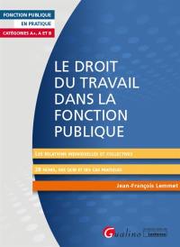 Le droit du travail dans la fonction publique : catégories A+, A et B : les relations individuelles et collectives, 28 fiches, des QCM et des cas pratiques