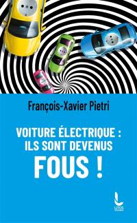 Voiture électrique : ils sont devenus fous !