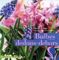 Bulbes dedans-dehors