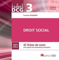 Droit social : 42 fiches de cours pour acquérir les connaissances nécessaires : 2017-2018