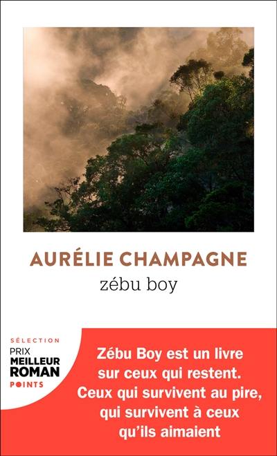 Zébu boy