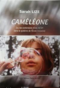 Caméléone (ou les contorsions d'une AESH dans le système de l'école inclusive)