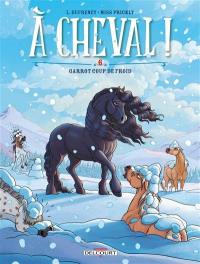 A cheval !. Vol. 6. Garrot coup de froid