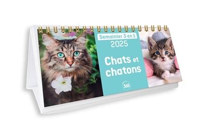 Chats et chatons 2025