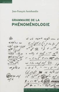 Grammaire de la phénoménologie