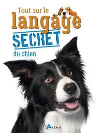 Tout sur le langage secret du chien