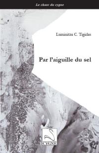 Par l'aiguille du sel