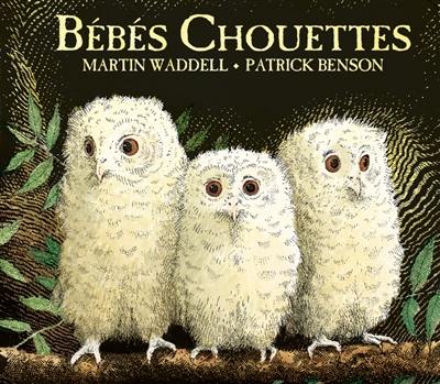 Bébés chouettes