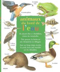 Animaux au bord de l'eau