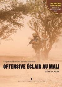 Offensive éclair au Mali : ceux de la brigade Serval racontent