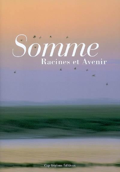 Somme : racines et avenir