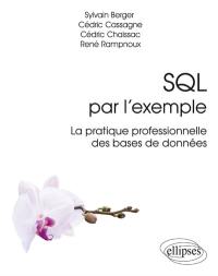 SQL par l'exemple : la pratique professionnelle des bases de données