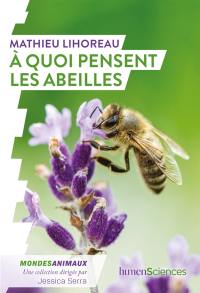 A quoi pensent les abeilles