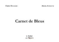 Carnet de bleus