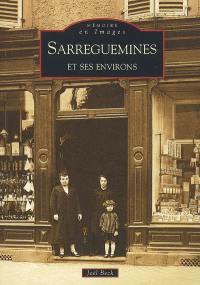 Sarreguemines et ses environs