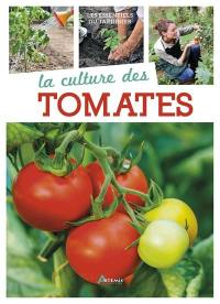 La culture des tomates