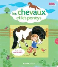 Les chevaux et les poneys