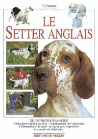 Le setter anglais