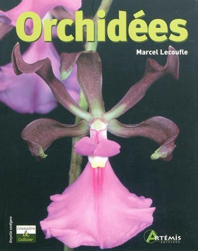 Orchidées