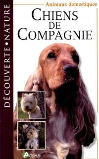 Chiens de compagnie