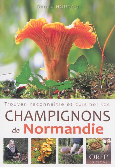 Trouver, reconnaître et cuisiner les champignons de Normandie