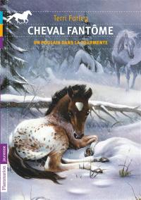 Cheval fantôme. Vol. 5. Un poulain dans la tourmente