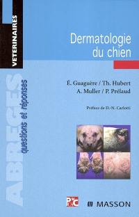 Dermatologie du chien : questions et réponses