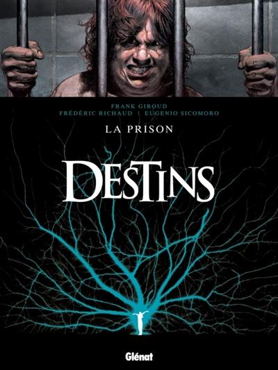 Destins. Vol. 12. La prison