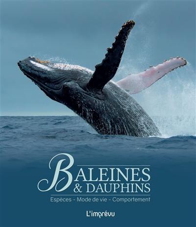 Baleines & dauphins : espèces, mode de vie, comportement