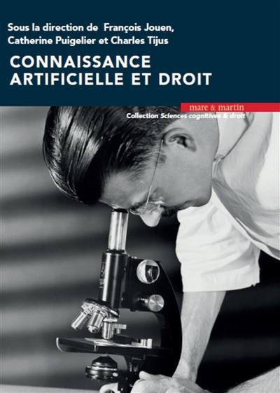 Connaissance artificielle et droit