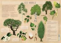 Les arbres