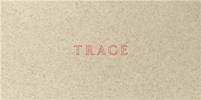 Jenny Holzer : Trace