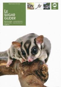 Le sugar glider : morphologie, comportement, alimentation, reproduction et hygiène...