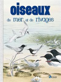 Oiseaux de mer et de rivages : les identifier par leur aspect, leur comportement et leur habitat